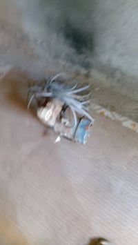 ماطور شغال • واير ١٠م • هوير