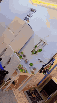 بيت • ٥٠م • الزعفرانية الأربع شوارع