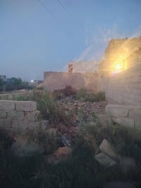 حاوي عباس • ورّه الامام العباس • ١٠٠م