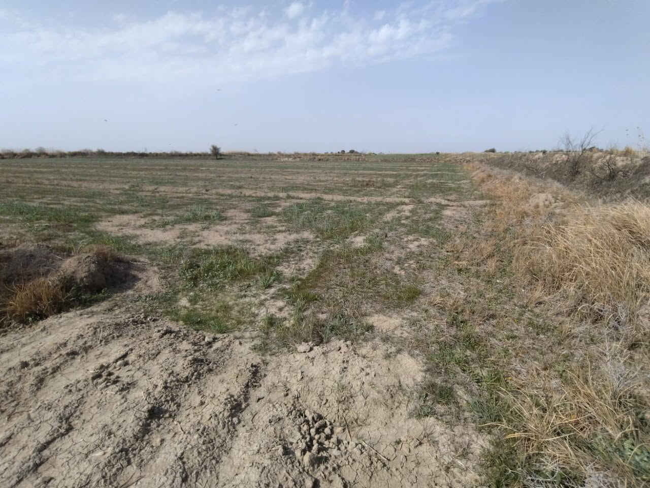 السلام عليكم
دار للبيع مع ارض ٧ دونم
ماء سكي 
 ماء اساله
كهرباء متوفره

مكان واسط قظاء الزبيديه قرية حلب

***********
