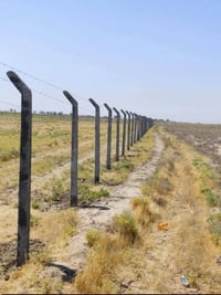 عمل وتصيب كافه انواع الاسجيه البيارسي التواصل07744303668 وتساب