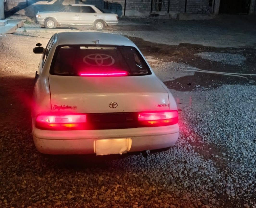 السلام عليكم شباب بطه اللبيع منفيس، مامكصوص***********
