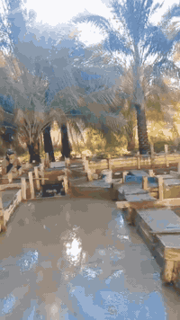 نجار • قوالب خشب • متفرغ للعمل