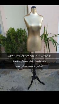 جديد • شمشمل السليمانية • توصيل كردستان