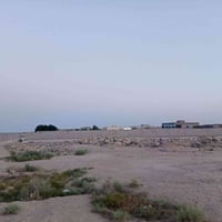 الزبير • دواجن • ٤٠٠م