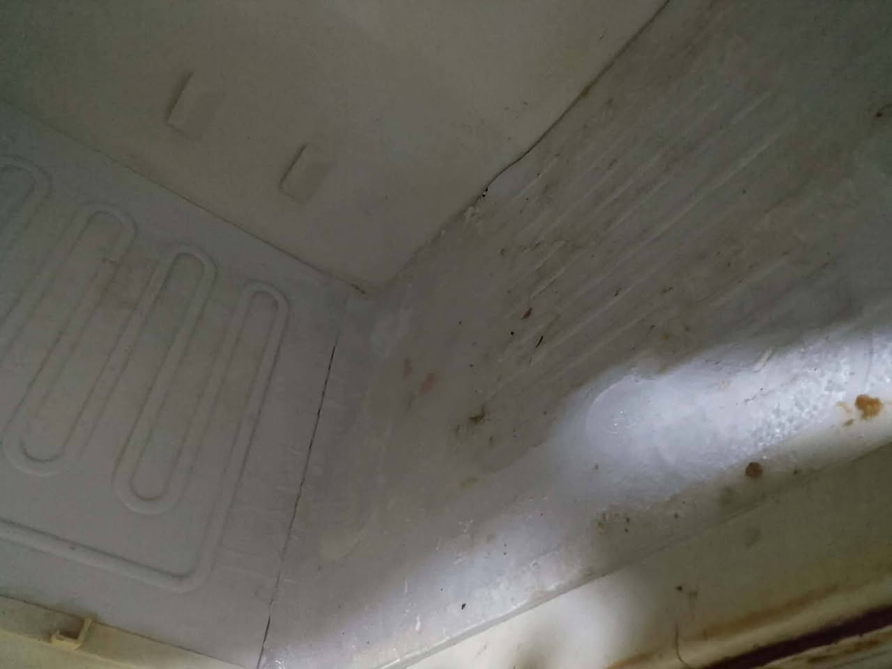 للبيع أدفع سعر الثلاجه شرط التجميد وثلاجت الماي بارد ثلج بالصيف


**إذا كنت صاحب هذا الإعلان وتريد حذفه لأي سبب، رجاءا أرسل رسالة إلى الدعم الفني**