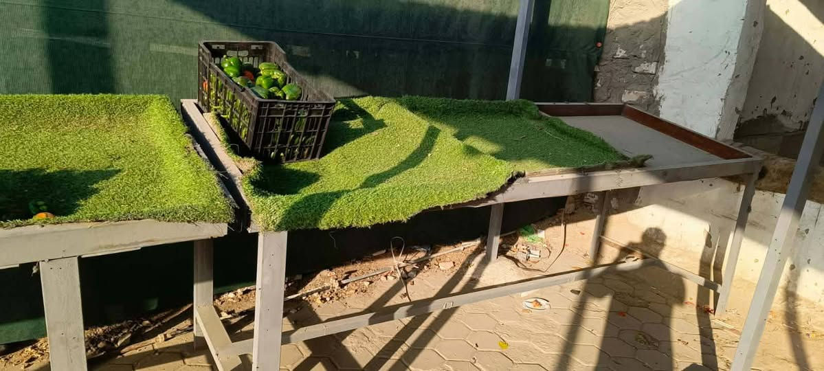 ميز مخضر للبيع عدد3 نضيف اي ضرر مبي السعر300كلهن بيهن مجال شراي خاص عنوان حي الحسين جديد


**إذا كنت صاحب هذا الإعلان وتريد حذفه لأي سبب، رجاءا أرسل رسالة إلى الدعم الفني**