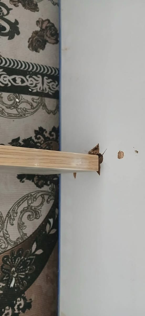 للبيع...... للبيع
سرير يكفي لحد عمر 14 سنة
بي ضرر بسيط موضح الضرر بالصورة
سعره النهائي 75
المكان بغداد-الغزالية


**إذا كنت صاحب هذا الإعلان وتريد حذفه لأي سبب، رجاءا أرسل رسالة إلى الدعم الفني**