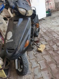 دراجة فراشة • ميسان مغربة • مكملة