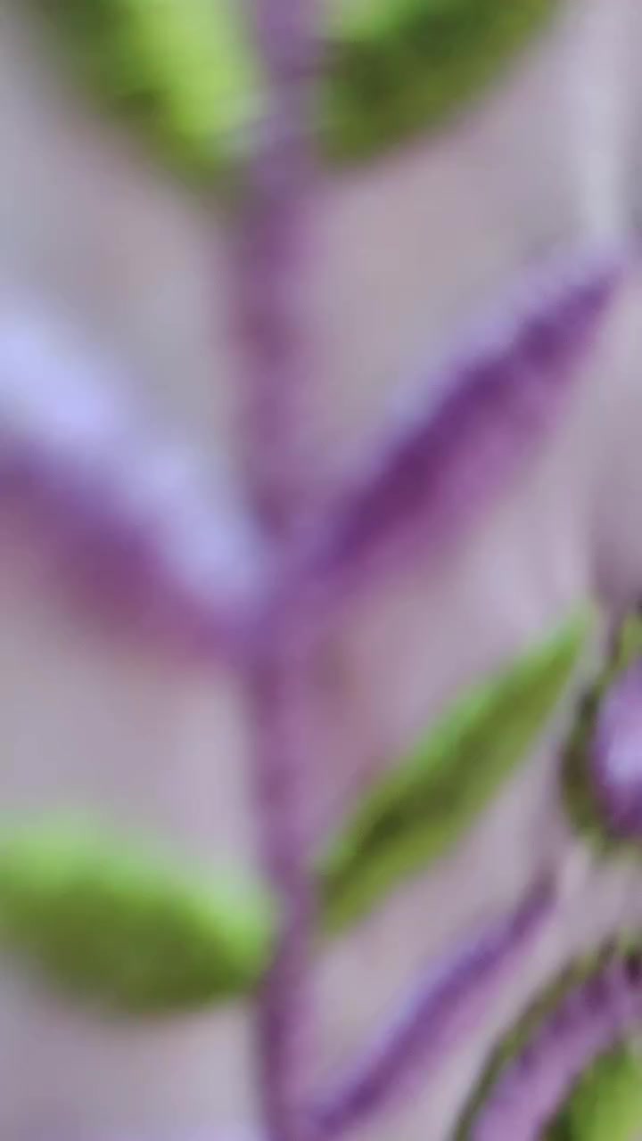 كاش كاش ويم توفي كلشي بلاش🔥
مجمع توفي📍 التاجيات شارع جاسم ماركت مقابل سنتر التاجيات وقرب البوادي
توفي تاجيات


**إذا كنت صاحب هذا الإعلان وتريد حذفه لأي سبب، رجاءا أرسل رسالة إلى الدعم الفني**