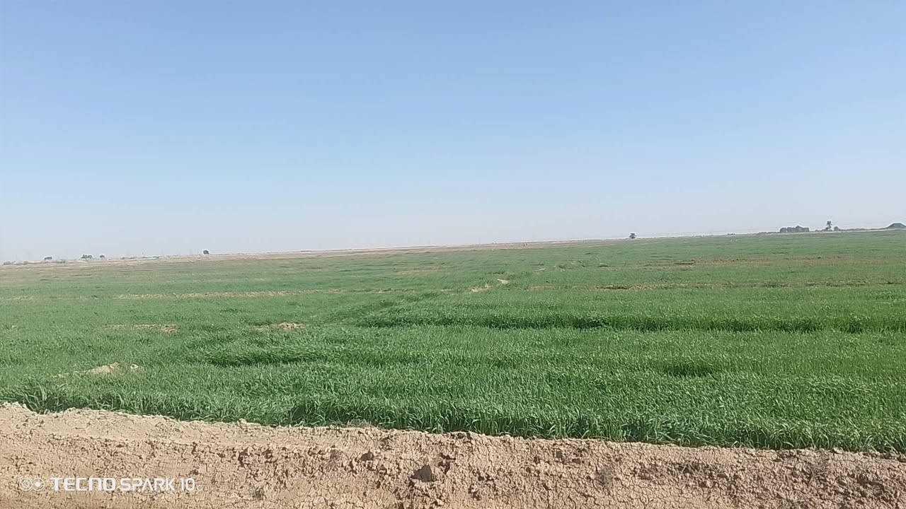 سلام عليكم توجد 45دونم شعير ضمان عنوان بغداد نهروان خاص مفتوح ضمان شلع قلع


**إذا كنت صاحب هذا الإعلان وتريد حذفه لأي سبب، رجاءا أرسل رسالة إلى الدعم الفني**