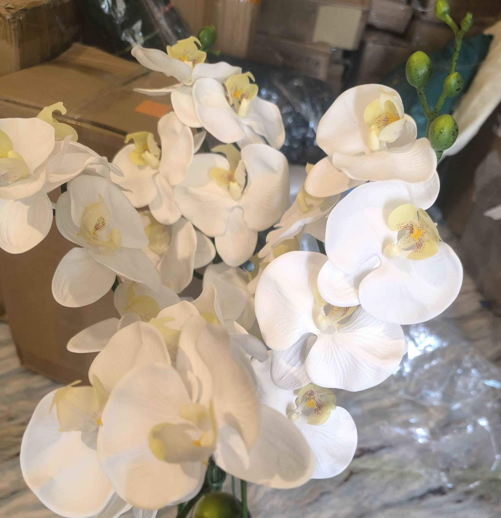 زهرة أوركيد صناعية بهذا الجمال واللون الشكري  ورق بلاستك جلدي يحاكي الورق الطبيعي مع سندان فرفوري قطر 20 سم وارتفاع 75سم
السعر 25


**إذا كنت صاحب هذا الإعلان وتريد حذفه لأي سبب، رجاءا أرسل رسالة إلى الدعم الفني**