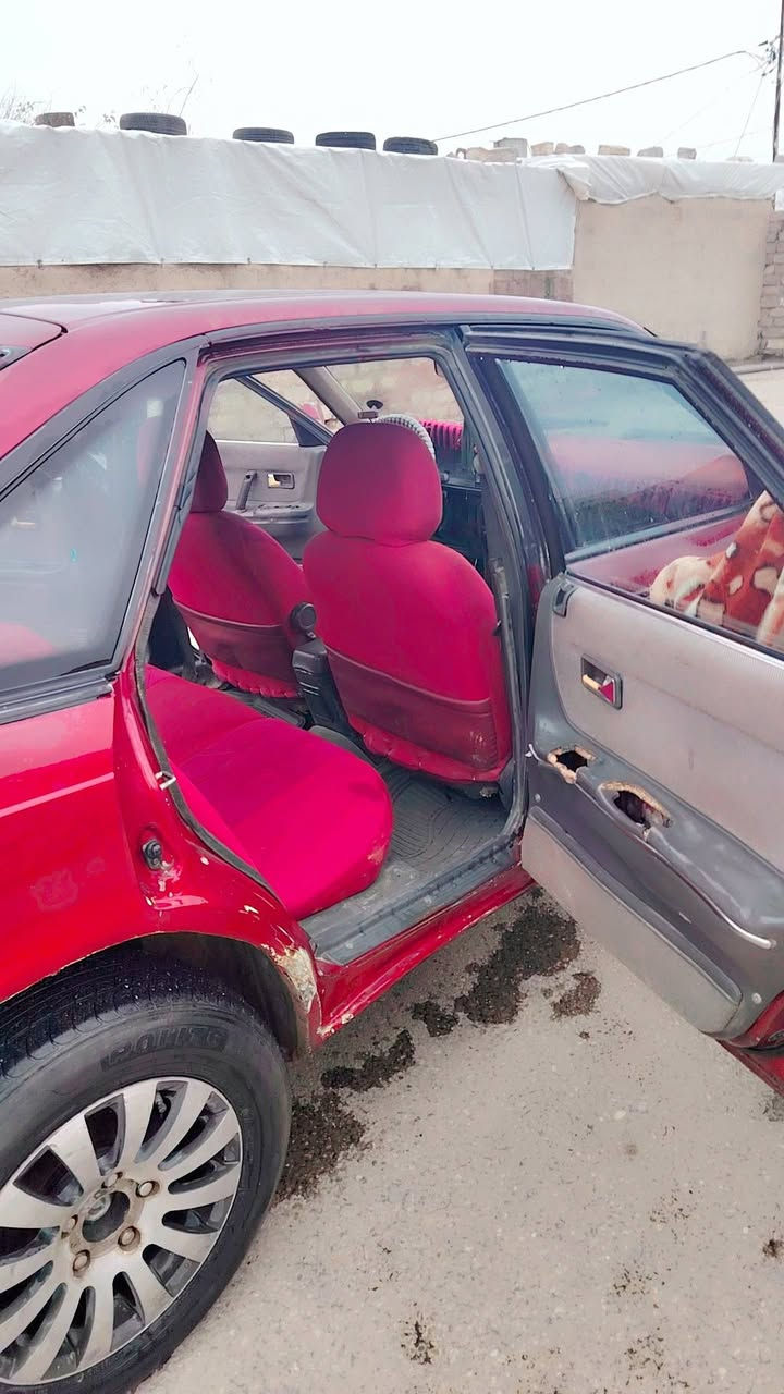 مازدا حجم 626
الحجم المرغوب 

كير محرك شرط

بدون ضرر شرط 

سياره جاهزه كهربائيات كلها شغاله 

#تدفئة #تبريد شرط

طخم جديد امامي خلفي 

سياره احلى من الصوره 

كابون بانزين ⛽

السعر 33 بيها مجال 

***********

خابر صاحبها 

مكلف بالنشر
