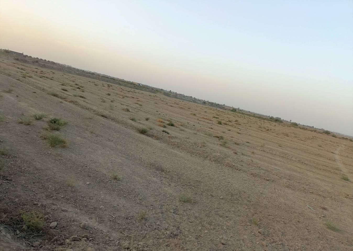 سلام عليكم أرض زراعية للبيع سند 25 بسمي المكان طريق الدغاره ديوانية خلف مطعم واثق متوفر جميع الخدمات  للاستفسار الاتصال عله رقم ***********
