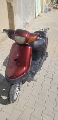 بطة • ٢٠٠٣ • شاصي مكفول