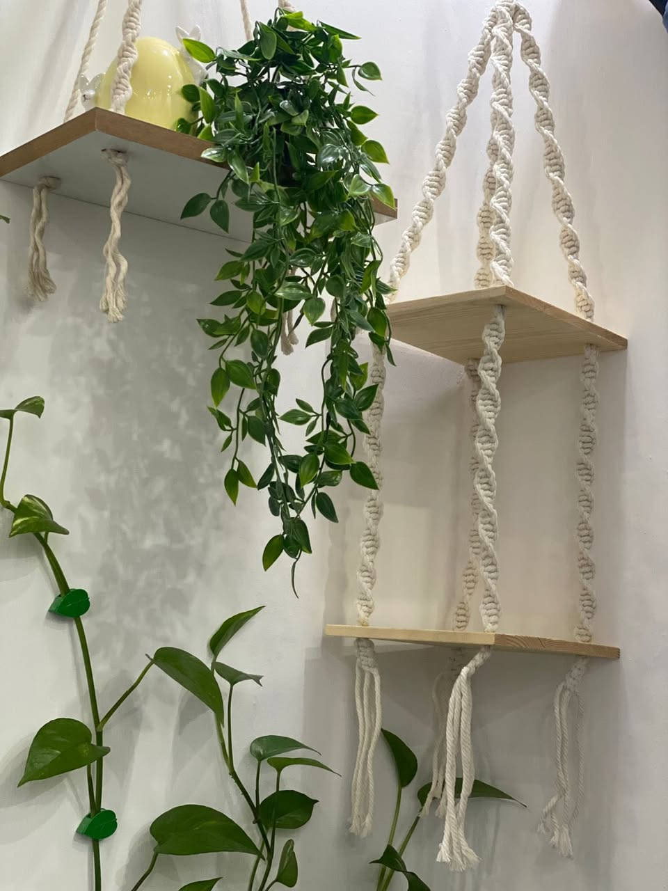 مكرميات رمضانية باسعار مناسبه توصيل مجاني مكرميات اسعار مناسبه رمضانيه توصيل محاني


**إذا كنت صاحب هذا الإعلان وتريد حذفه لأي سبب، رجاءا أرسل رسالة إلى الدعم الفني**