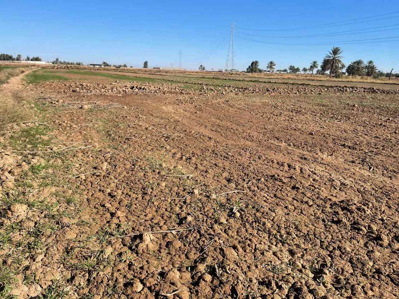 قطعة أرض للبيع
طابو زراعي سند ٢٥ تحويل مباشر
الموقع الرمادي ناحية اليرموك قرب مزرعة شيخ إحسان
المساحة ثنين دونم ونص
قريبه من جميع الخدمات 
شارع خمسة متر
الأرض صالحة للزراعة او اي مشروع استثماري
سعر الدونم ١٨ مليون
للإستفسار الاتصال على الأرقام التالية
*********** واتساب
*********** واتساب
او مراسلة الصفحة في اي وقت نعتذر عن التأخير عن الرد في بعض الأحيان
نستقبل جميع العروض العقارية في مدينة الرمادي
ابو احمد
