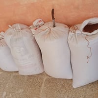 بذر فجل • بصراوي • درجة اولى