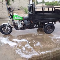 ستوته • مكفوله • شغاله