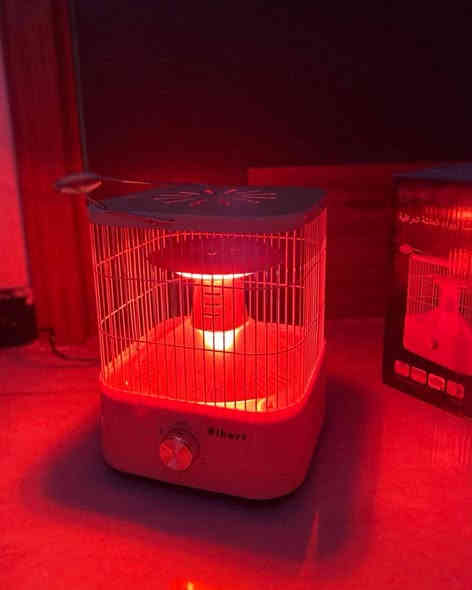 ⁨ من مواد منزليه حصرااااا 💕🪬🧿

 وصل الترنددددد 

 كميه محدوده🔥🔥

25الف دينار 💸

لحجز ارسلنا عنوان و رقم الى صفحة ، 
واتساب ***********

توصيل كافة الـ محافظات : 5 الاف دينار 🚗⁩
