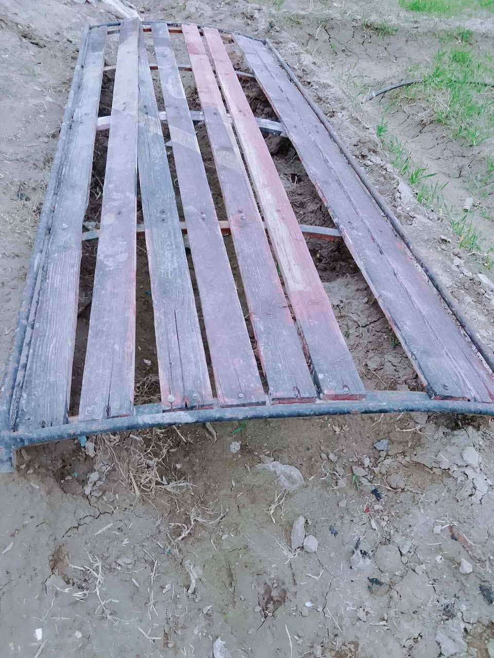 البيع مآل شبوط سعر150بي مجال الرقم***********مكاني الحله ناحيه النيل
