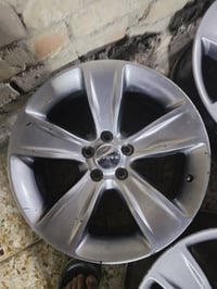 تخم ويل اس اكس تي للبيع 07709357524