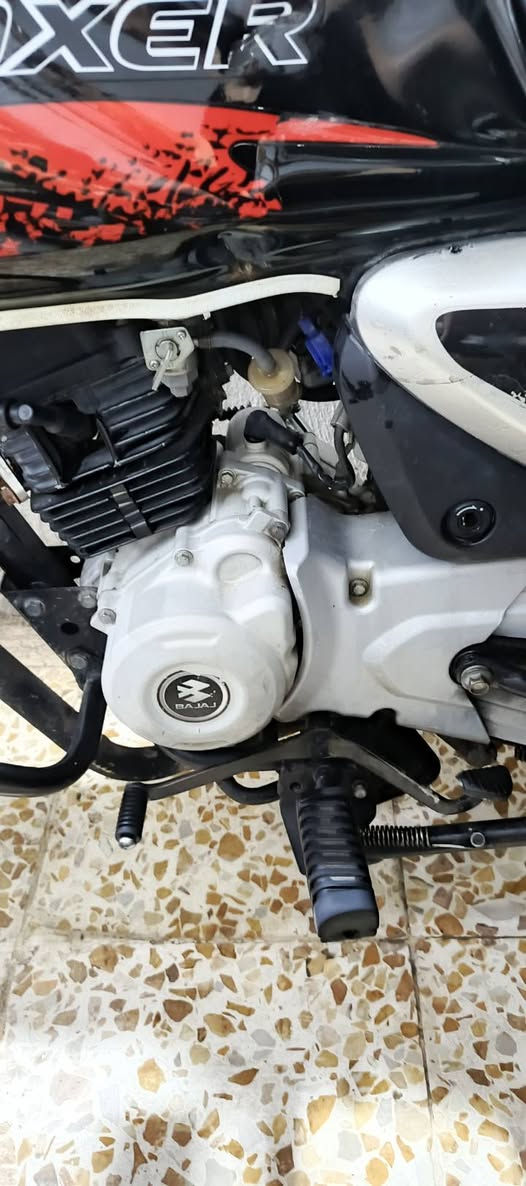 السلام عليكم دراجه بوكسر  جبلي موديل 21 دراجه مرقم ارقام نكليزي سنوية نكليزي فقط ستلام لوحد  الدراجه خير من الله نقره سلف كهربائياته كلها شغاله النظافه مثل اللي بالصوره المو شرار لا يتصل السعر مليون 650الف بيها مجال بسيط حق الجيه العنوان بغداد الشعب رقم المتصل *********** مكلف بالنشر غير متواجد عند الفيس
