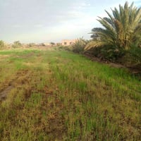 ٨ دونم • قريب قضاء النجمي • نهر خاص