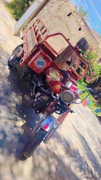 ستوته • فحل • ٢٠٢٠