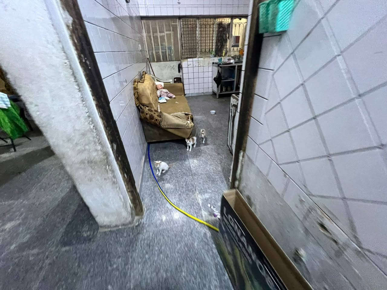 🏠 بيت ركن للبيع في مدينة الصدر – قطاع ٤٩
📍 الموقع: خلف العيادة الشعبية، بالقرب من سوق الفلكة
📐 المساحة: ١٤٤ متر
✅ البيت ركن وقابل للتقسيم
🏗️ يتكون من طابقين
الطابق الأرضي:
استقبال + هول + غرفة نوم + مطبخ + صالة درج + حمام + WC
الطابق الثاني:
٤ غرف نوم + حمام + WC
⭐ موقع جيد وقريب من السوق والخدمات.
💰 السعر: يُذكر هنا
📞 للاستفسار والاتصال:
***********
