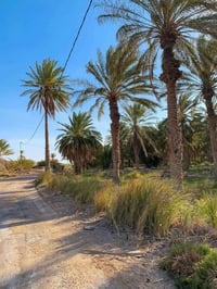 السعر 7مليون وكاملة الخدمات موقع مرتب #تبعد_عن_خط_لتنمية_اقل_من_كيلو١ ...