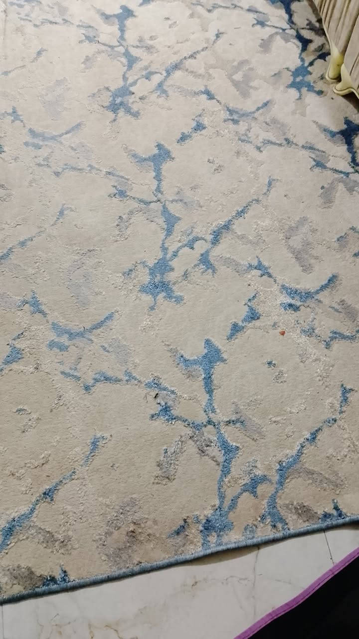 سلام عليكم عندي كاربد هاي نقشته نظيف كلش مابي ضرر قياس ٣ب٤ مكان غزالية ب٦٠


**إذا كنت صاحب هذا الإعلان وتريد حذفه لأي سبب، رجاءا أرسل رسالة إلى الدعم الفني**