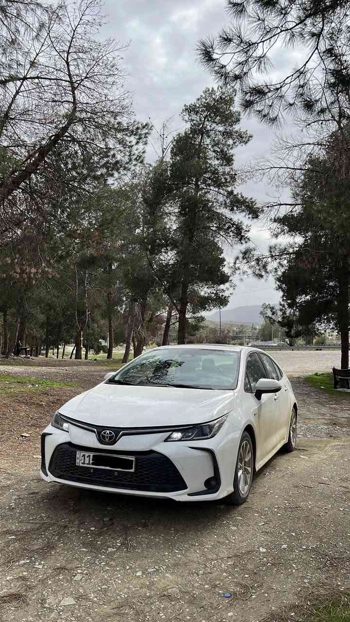 للبيع كورلا هايبرد 2025 
فول مواصفات داخل اسود كشنات جلد فتحة سقف سلايد رادار تحديد مسار 
ماشي 48 الف
بيها شخط بالجاملغ يرجع بارد 
السعر 150 وبيها مجال بسيط
مكاني بغداد الدورة
***********
