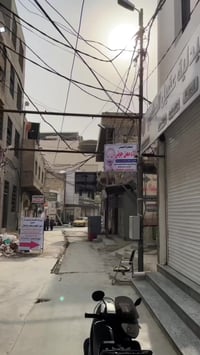 ماكس منغولي • نضافه • ختم واحد