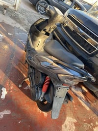 ماكس • أوراق كاملة • حي النصر