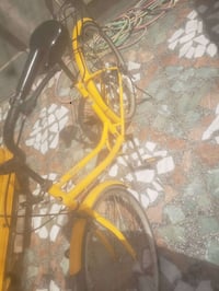 باسكلات • مراوس • خاص