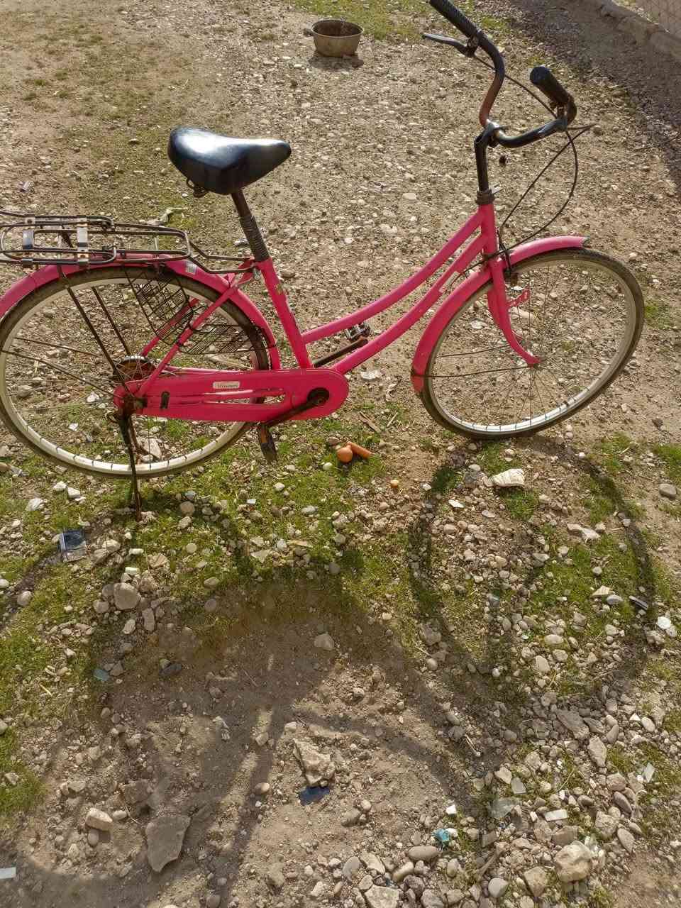 للبيع بايسكل عبدالحليم حجم26 
السعر 50 
للاستفسار خاص


**إذا كنت صاحب هذا الإعلان وتريد حذفه لأي سبب، رجاءا أرسل رسالة إلى الدعم الفني**