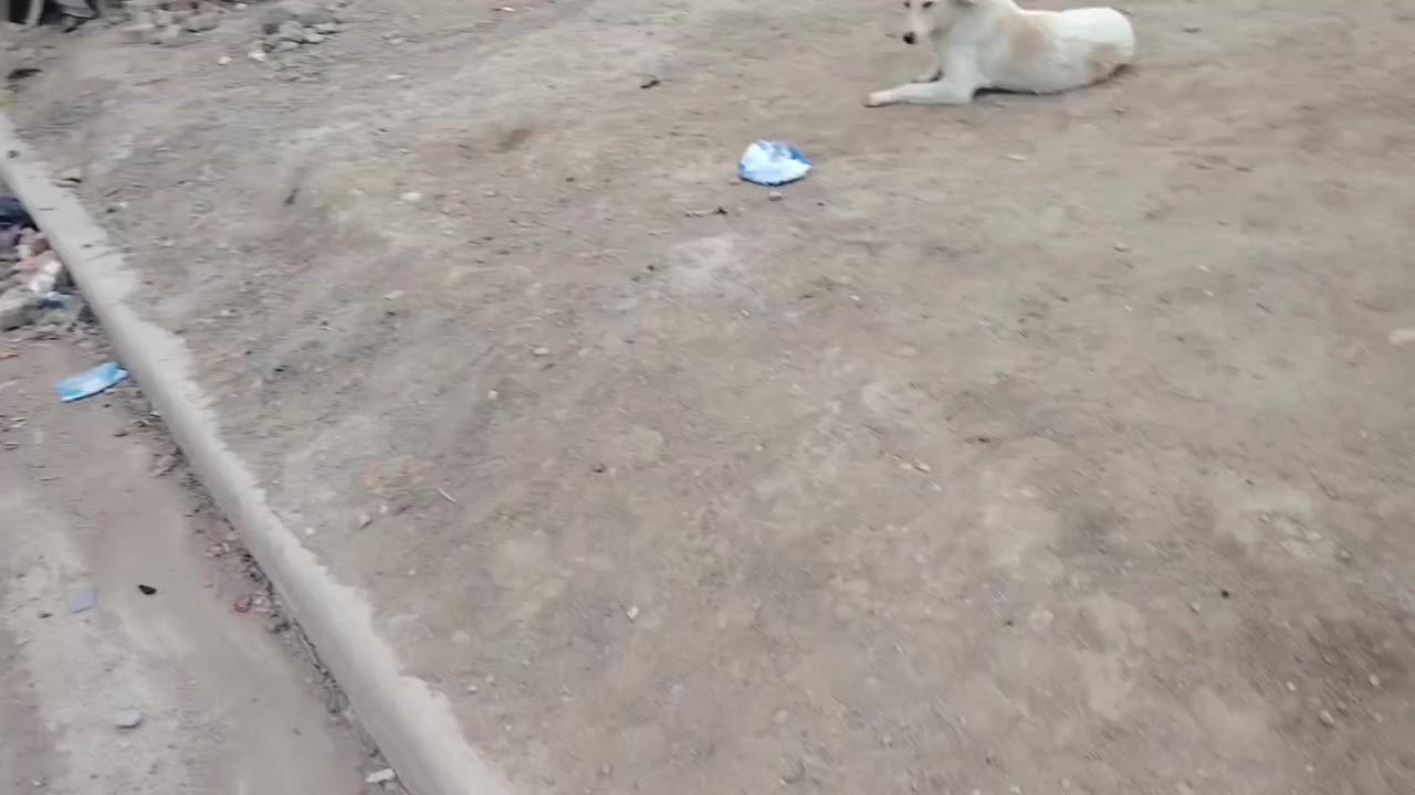 بيت زراعي للبيع ركن مساحه ٢٥٠ على طريق حي الجامعي قرب سيطره المدثره سعر ٩٠ وبي مجال بيع مستعجل ***********
