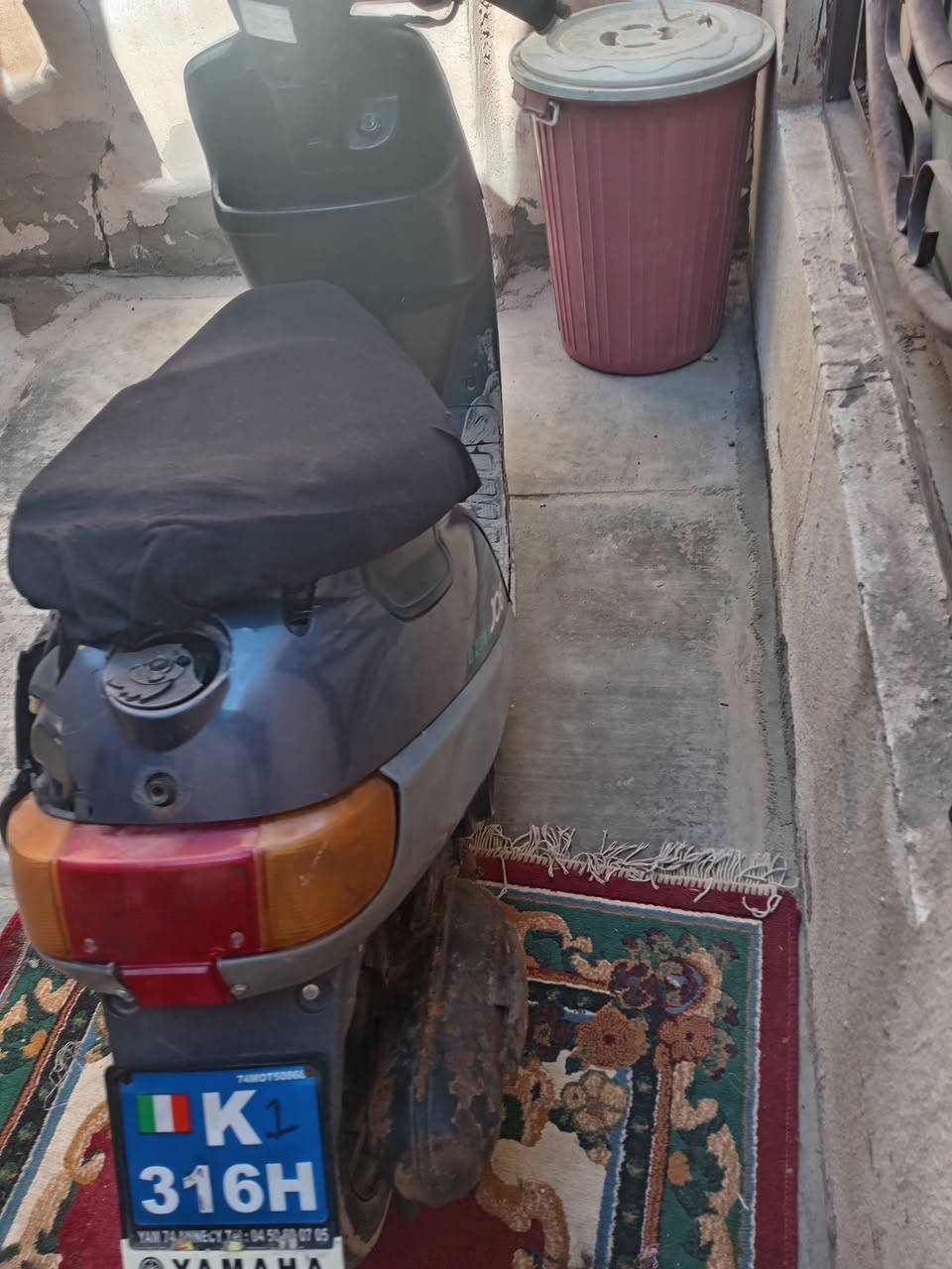 السلام عليكم زعره نضيفه السعره ١٧٥وبيه مجال ***********
