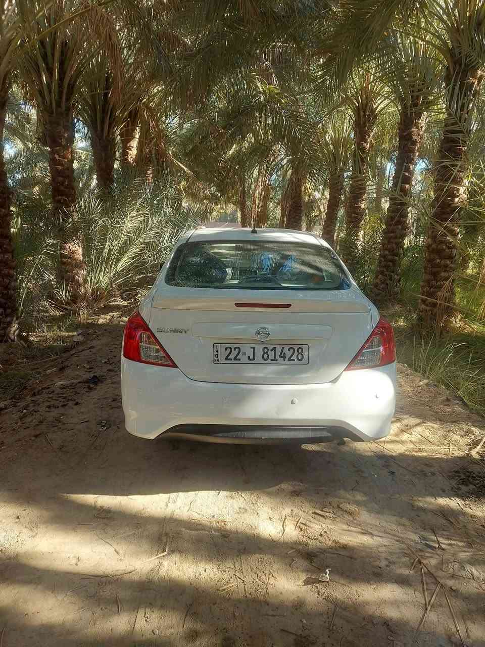 نيسان صني للبيع مديل ٢٠٢٤ فقط بيها بارد جوه قبق البانزين سعر ١٢٠ وبيها مجال بسيط   ***********
