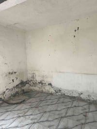 بيت اصلاح زراعي • البكرلي الرابعه • ١٦٠م