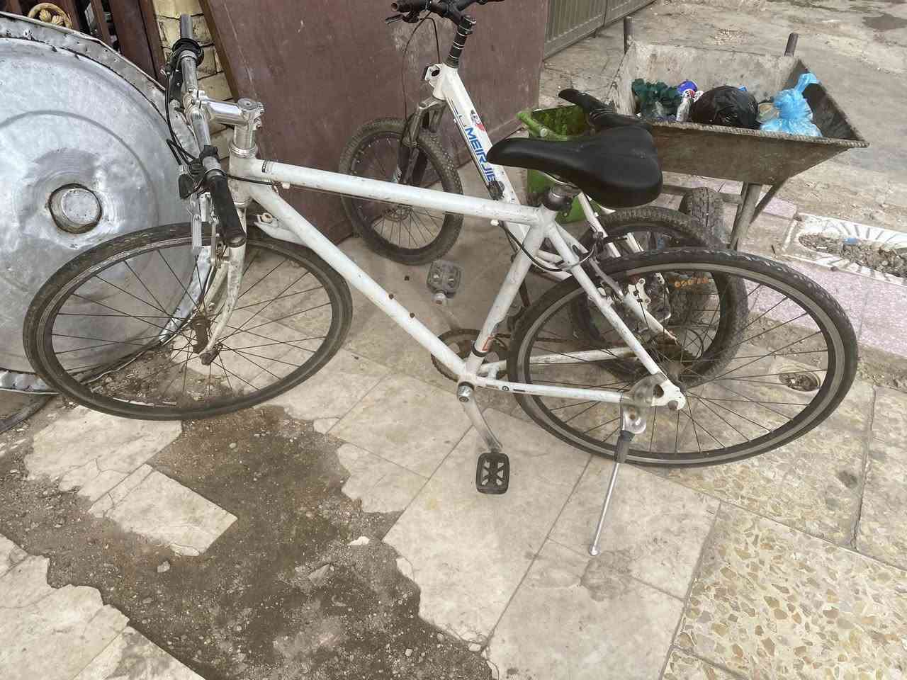 قيم وخذ مكاني حيل عامل ☘️


**إذا كنت صاحب هذا الإعلان وتريد حذفه لأي سبب، رجاءا أرسل رسالة إلى الدعم الفني**