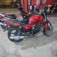 سايم • بدون أوراق • الخمسة كيلو