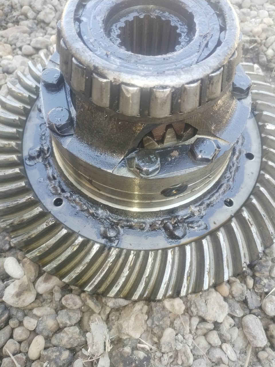 اسلام عليكم اكسن عنتر للبيع  ملحوم داير بيه شكم سن مثلوم  عنوان كربلاء ***********
