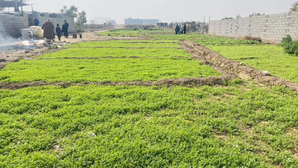 السلام عليكم دونم للبيع مكان العبيدي للاستفسار اكثر اتصل ع الرقم   ‭0773 393 2225‬ ما متواجد ع الفيس وتساب موجود .
