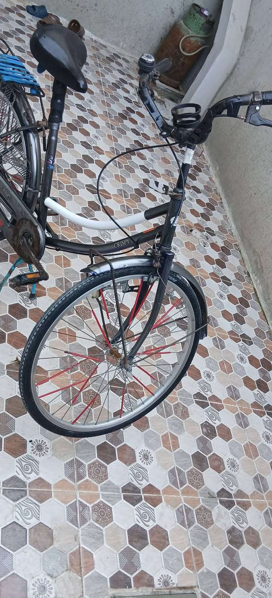 السلام عليكم بازكل للبيع ماعوزه اي شي ماتصرف علي ربع نضيف حيل السعر ٨٠ وبي مجال قليل المكان حي التعليم قرب مجمع النور والماشراي لايتعبني


**إذا كنت صاحب هذا الإعلان وتريد حذفه لأي سبب، رجاءا أرسل رسالة إلى الدعم الفني**