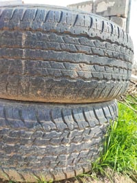 مونیکا • صالنصه • السليمانية