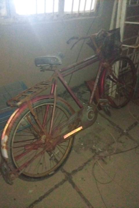 شباب بايسكل ياباني أصل بس يحتاجله ادامه تواير و زنجين و خفايف