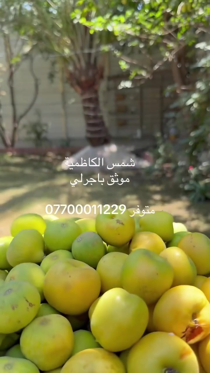 اهلا وسهلا بكم من احلة المزارع شمس الكاظمية*********** موثق باجرلي
