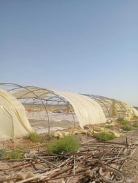 منضومه خيار للبيع الاستفسار ع رقم   07800410561